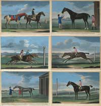 Sartorius Race Horses
