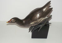 Lucy Gray: Gallinule