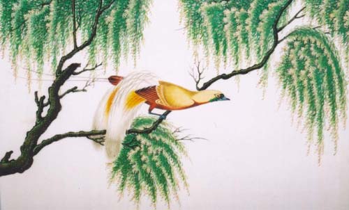 Chinese watercolours of Birds