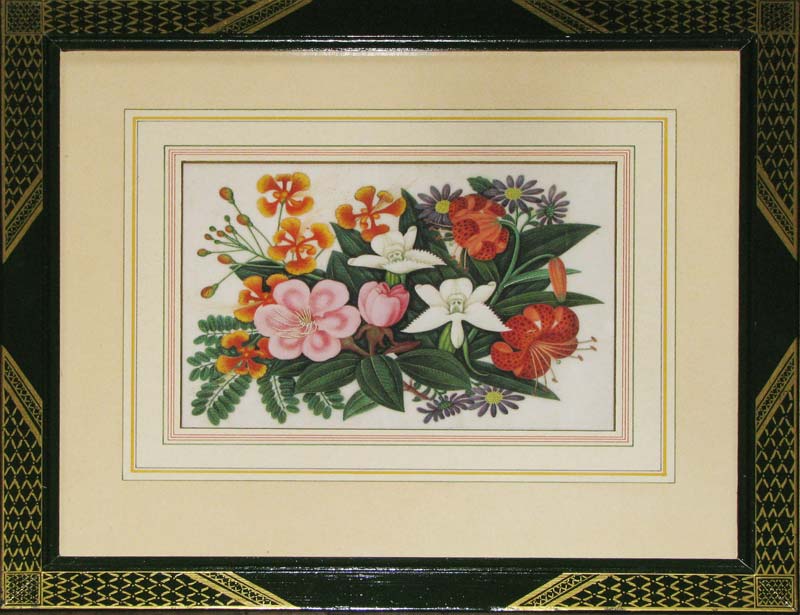 Chinese Botanical Paintings