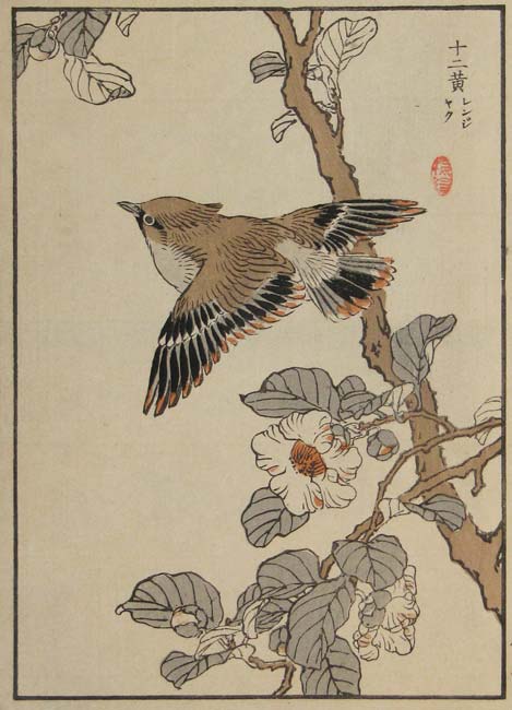 Japanese Birds