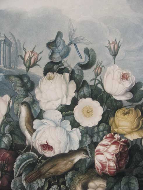 Thornton Tulips Roses