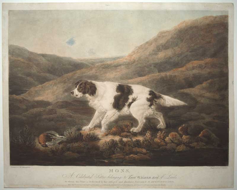 Turner Mons Dogs