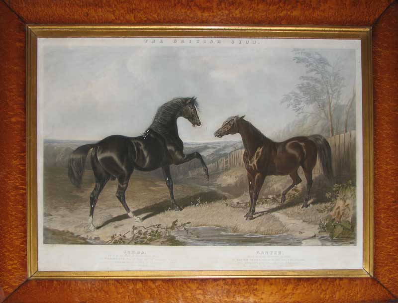 Harris Herring Racehorses