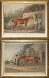 Whessell Racehorses